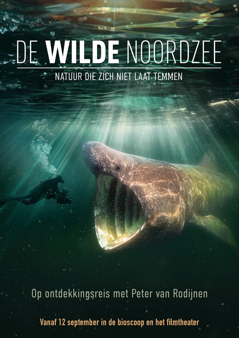 opmaak Wilde Noordzee